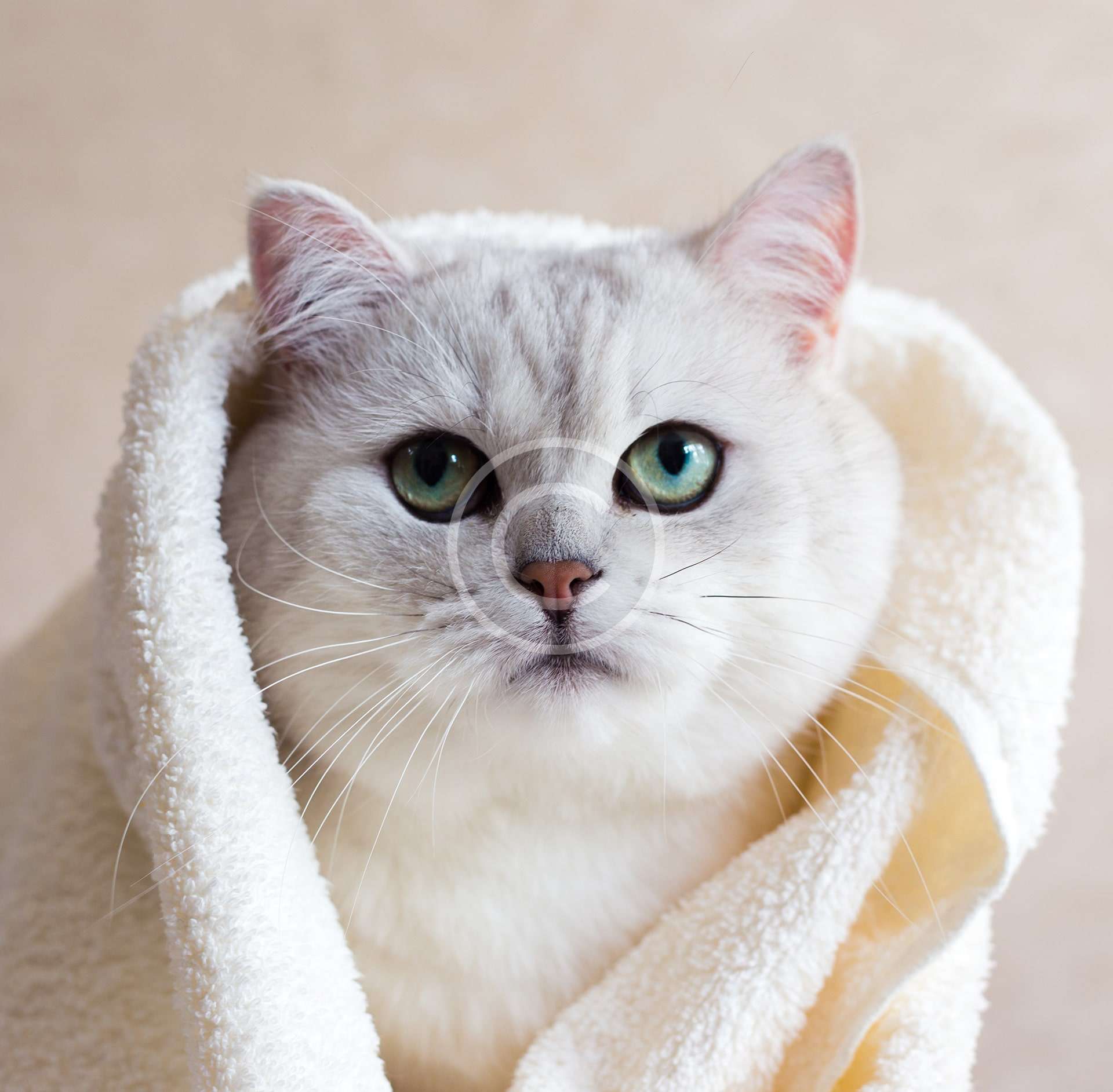 Relaxing Bath