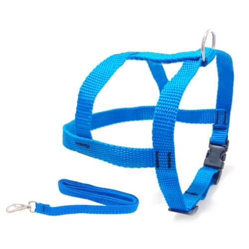 Conjunto Guia e Peitoral Liso