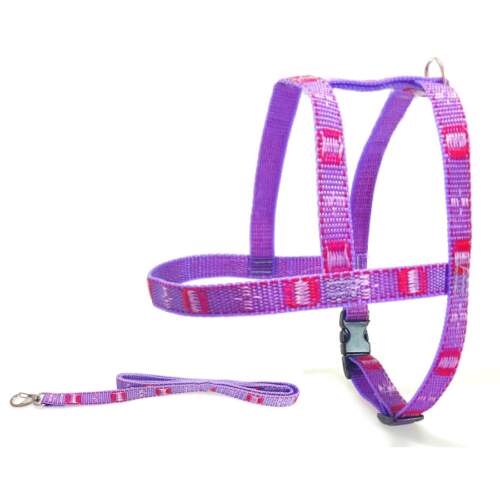 Conjunto Guia e Peitoral Bordado