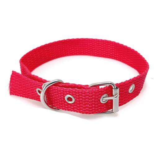 Coleira Nylon Colors Liso