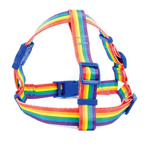 Peitoral Luxo Colors - Image 11